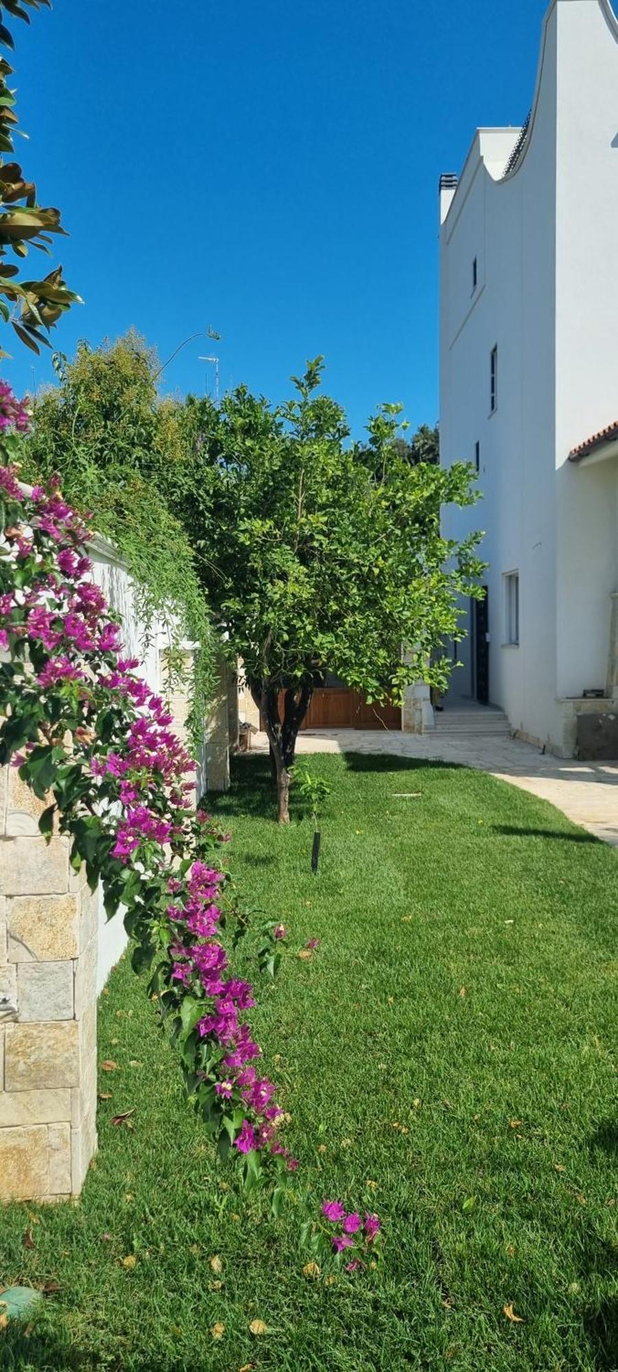 باري Villa Guajira المظهر الخارجي الصورة