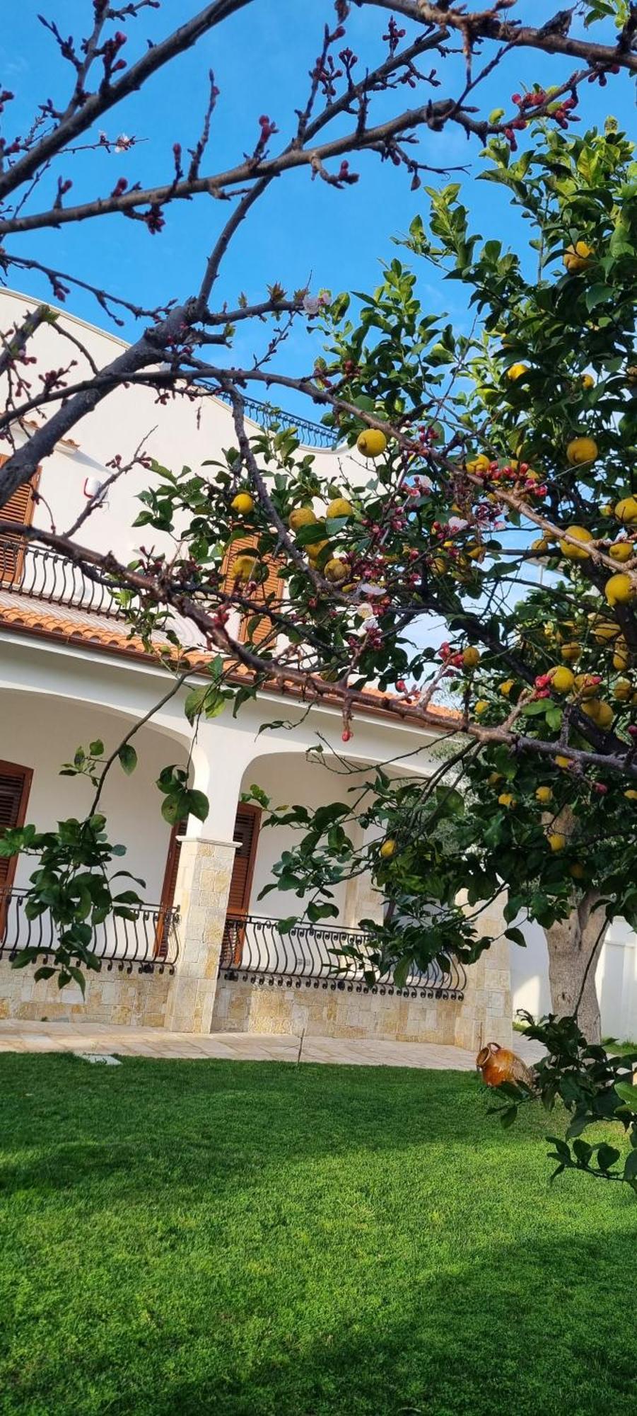 باري Villa Guajira المظهر الخارجي الصورة