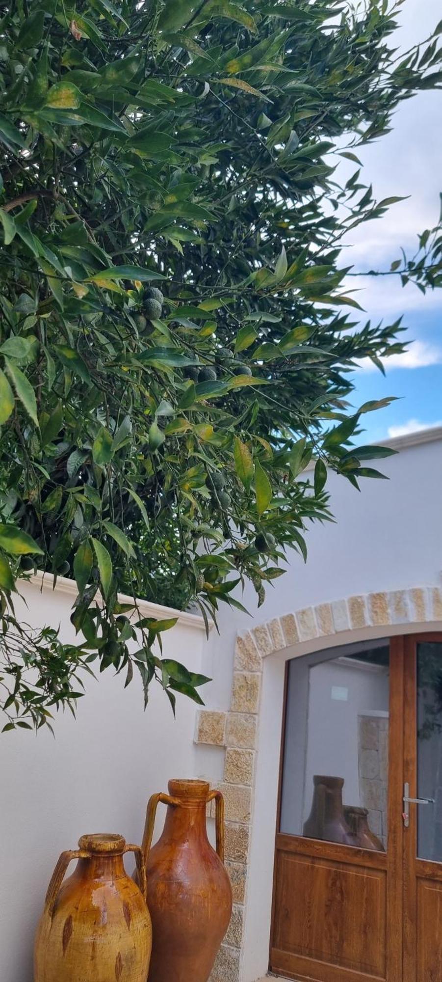 باري Villa Guajira المظهر الخارجي الصورة