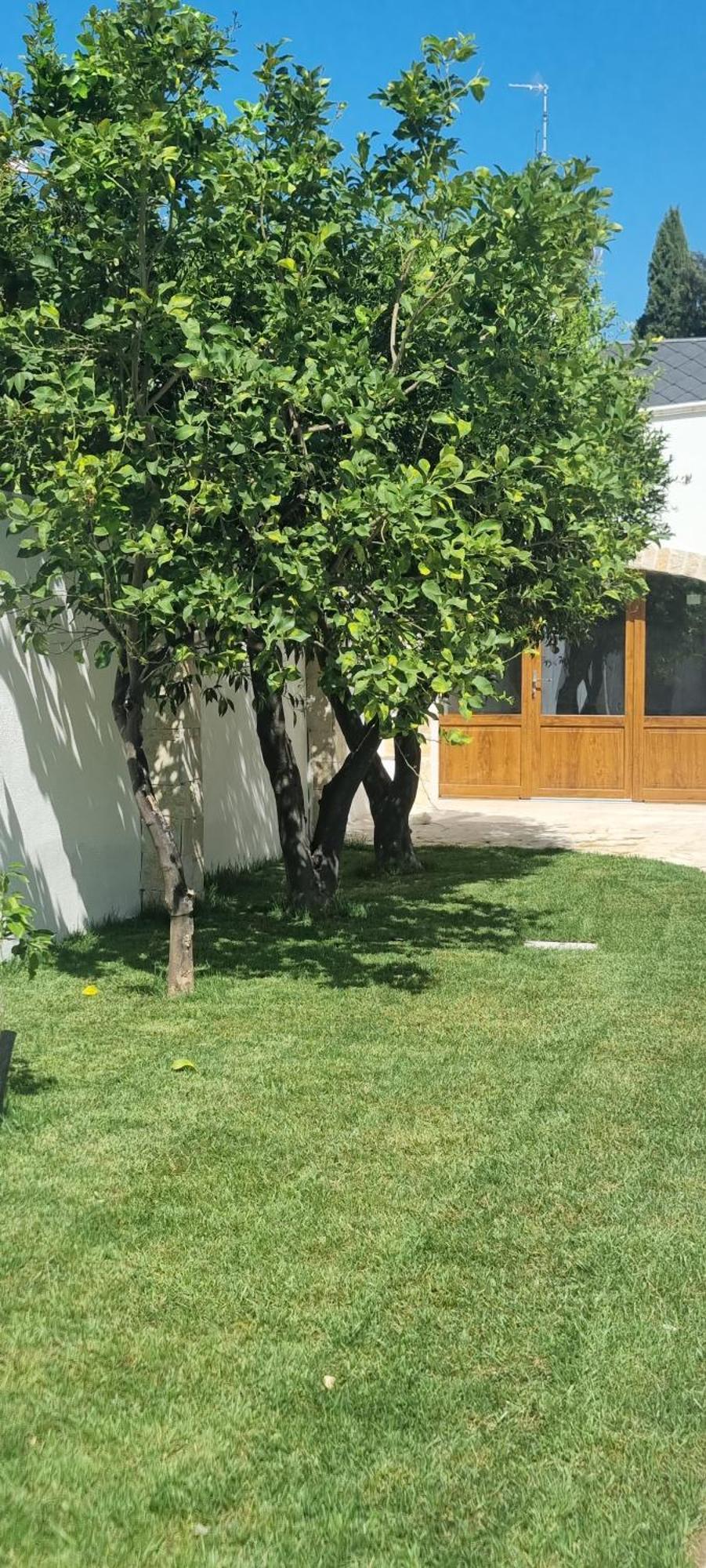 باري Villa Guajira المظهر الخارجي الصورة