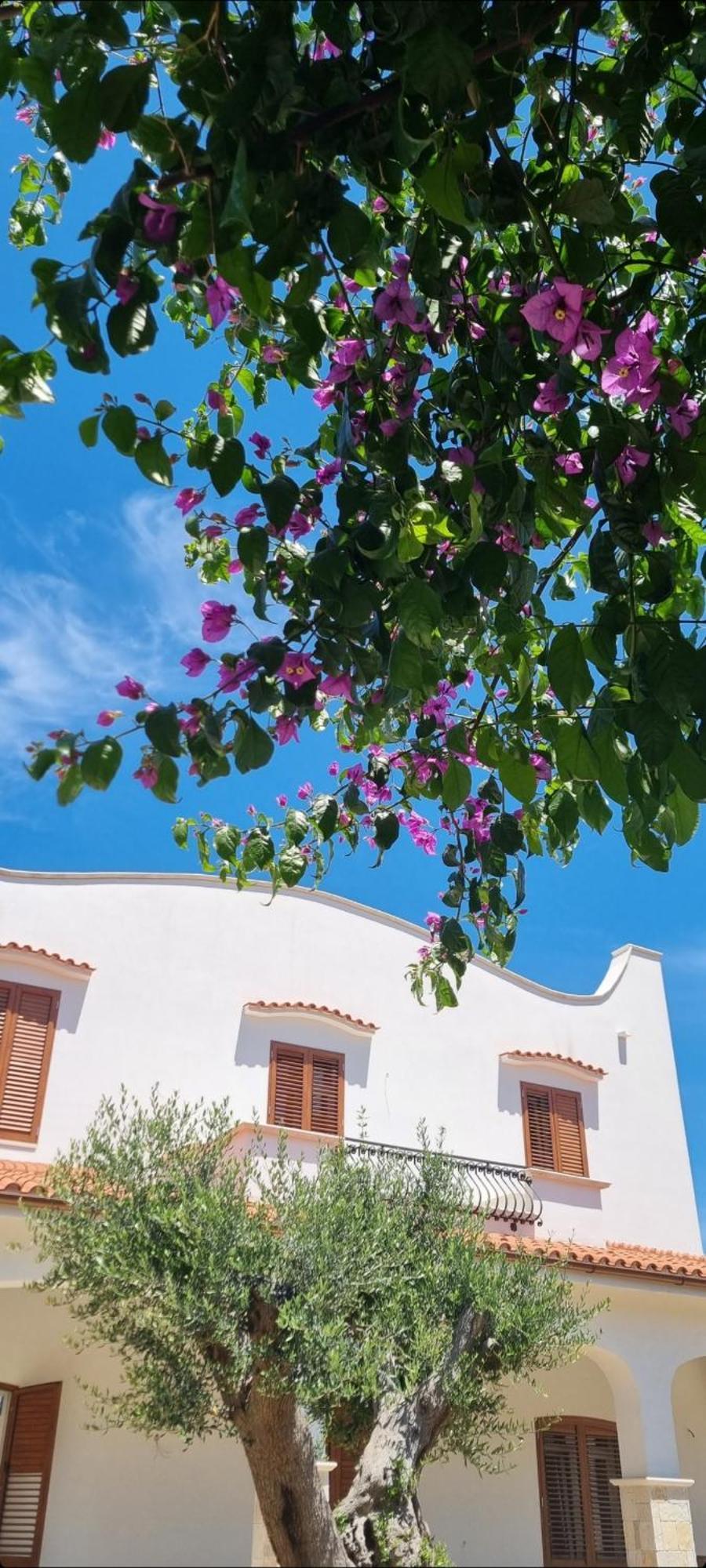 باري Villa Guajira المظهر الخارجي الصورة